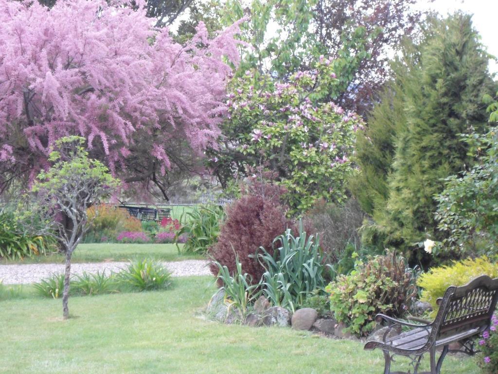 Roslyn House Bed & Breakfast Bushy Park Exteriör bild