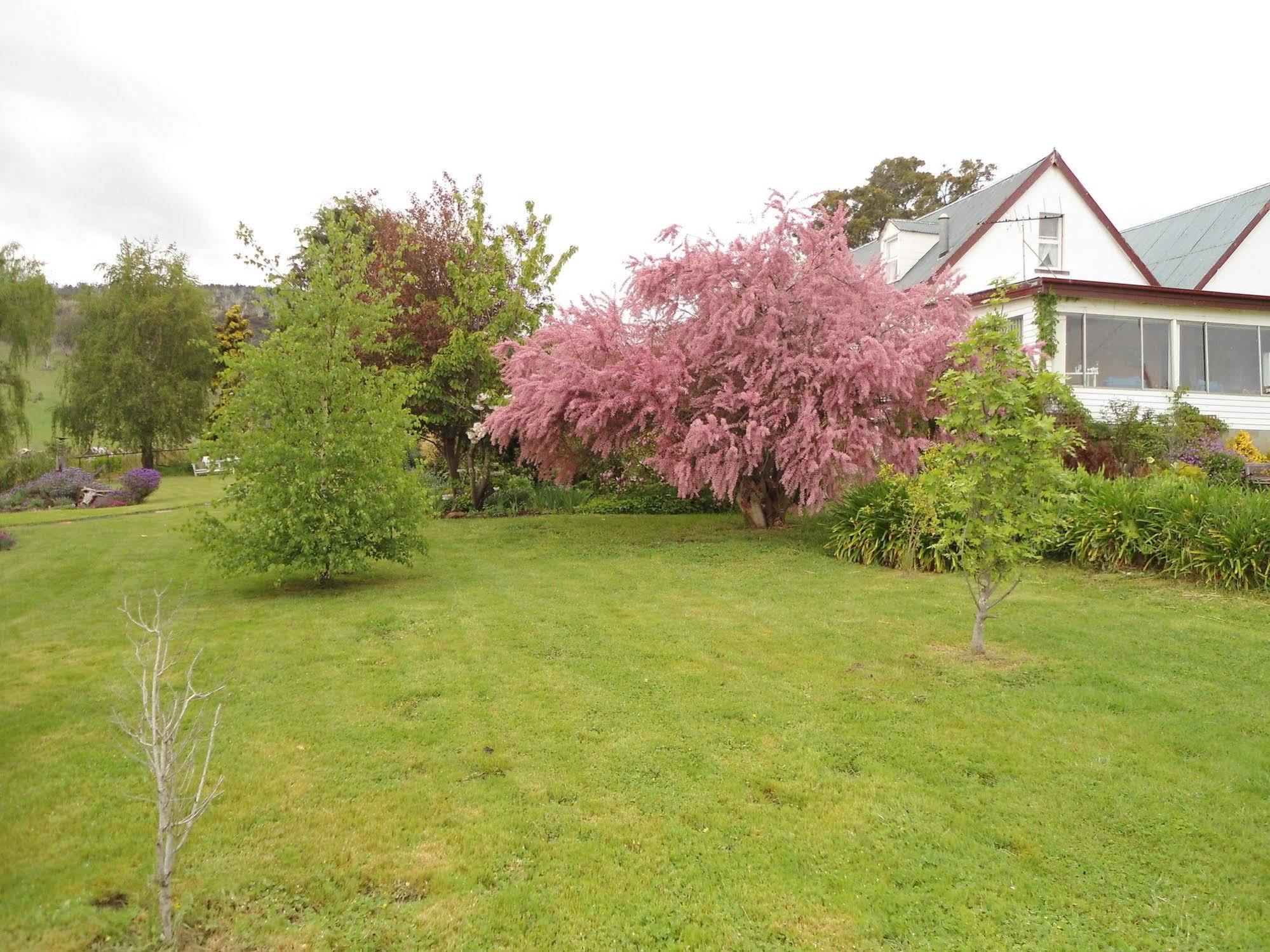 Roslyn House Bed & Breakfast Bushy Park Exteriör bild